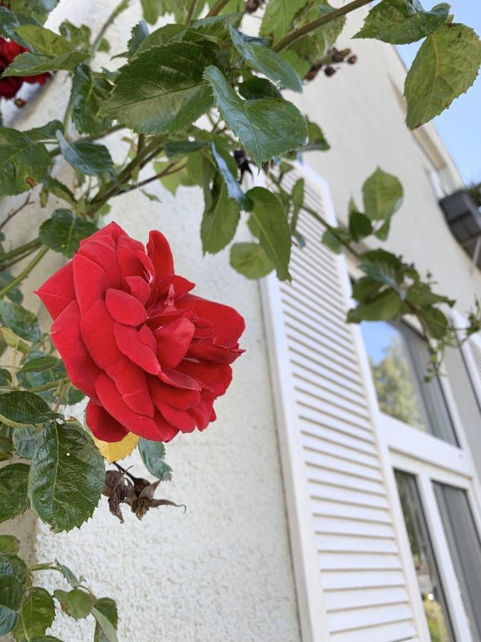 Insel Hus Villa Fehmarn Dış mekan fotoğraf